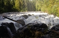 Vancouver Island 'Englishman River Falls Park' 27_09_2011 (69)